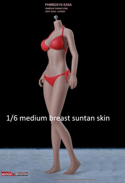 1/6 Female Girl Seamless Body with Head Sculpt bikini